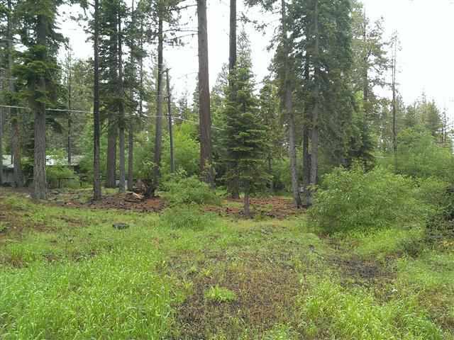 397 Lewis Ave photo 12
