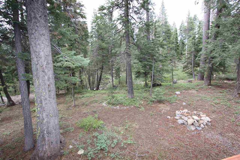 523 Robin Rd photo 8
