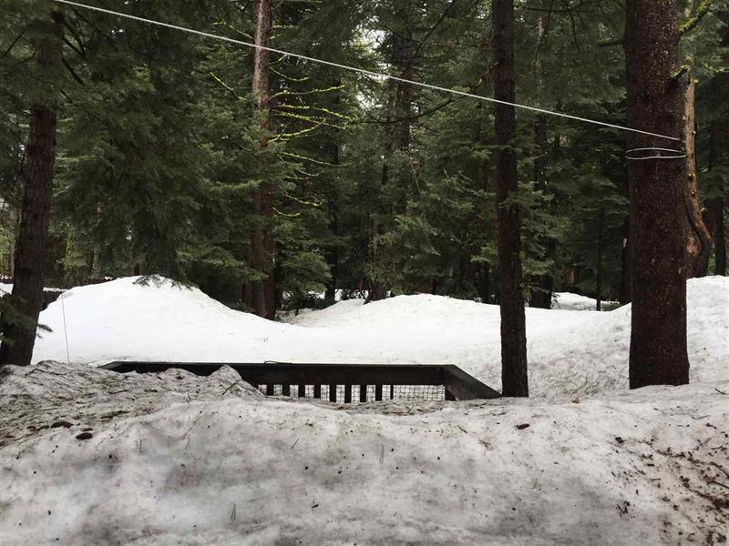 415 Deer Ave photo 13