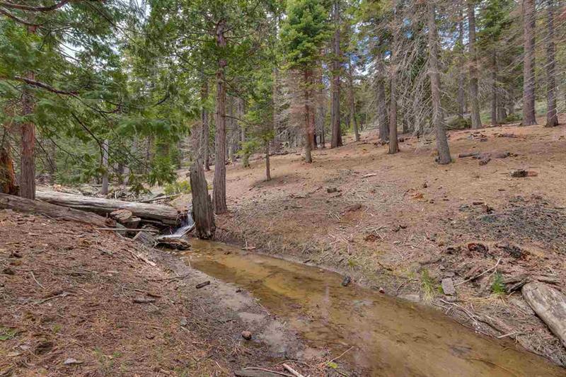 432 Sierra Dr photo 7